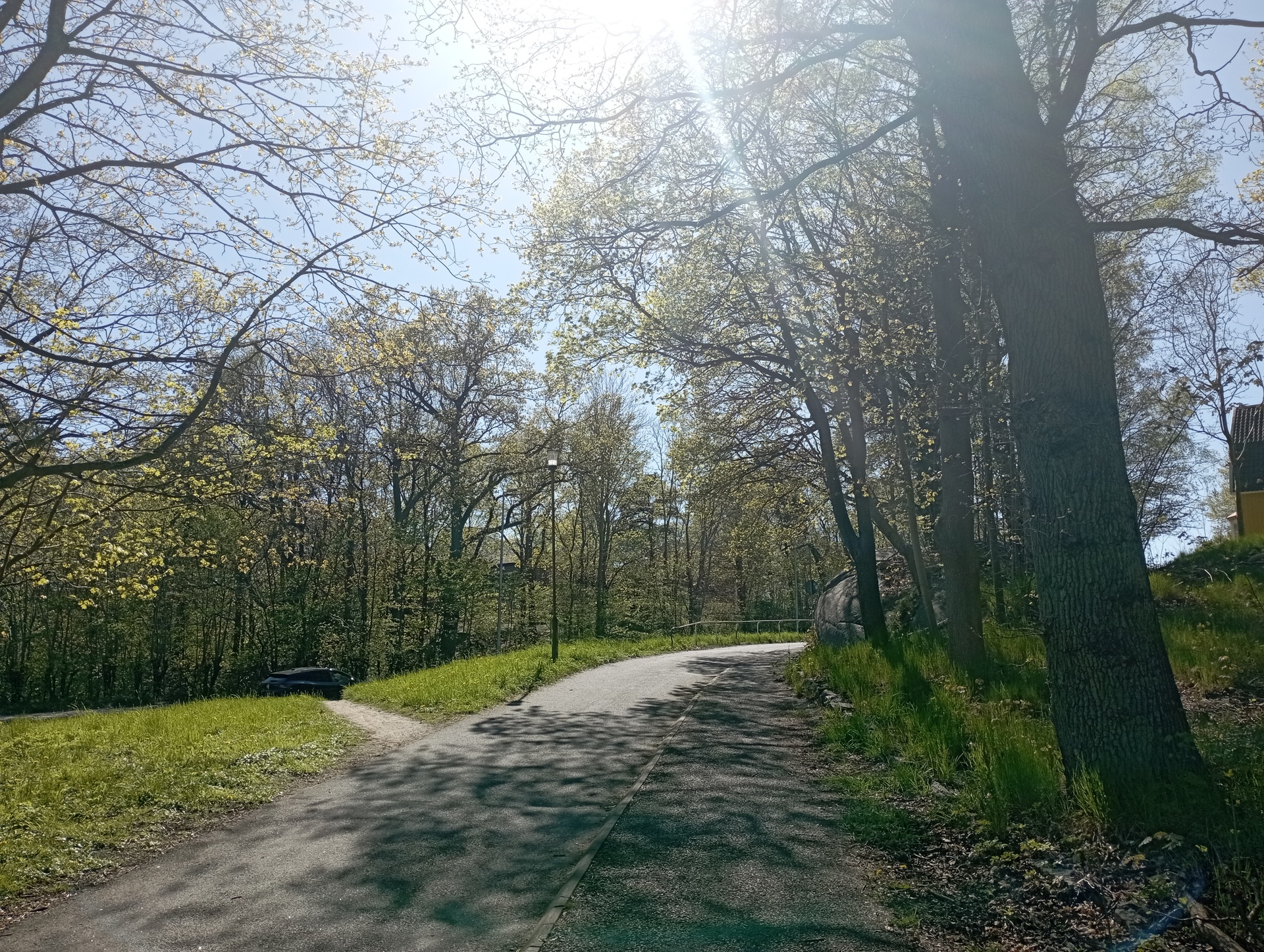 A road, green grass, trees with leaves.